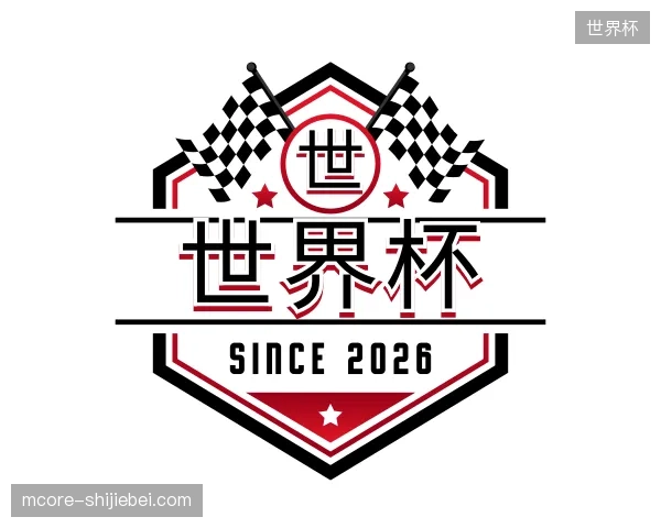 解读世界杯官方入口